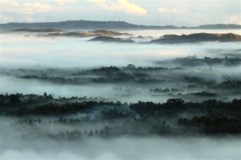 danao sea of clouds|The Magical Sea of Clouds in Bohol Danao, Philippines.